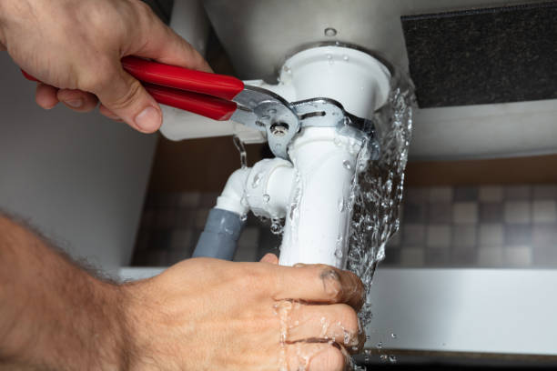 Best Flooded house restoration  in Landover, MD
