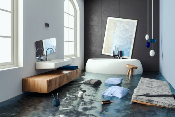 Best Mold removal after water damage  in Landover, MD