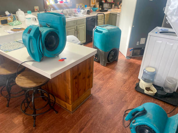Best Water damage contractors near me  in Landover, MD