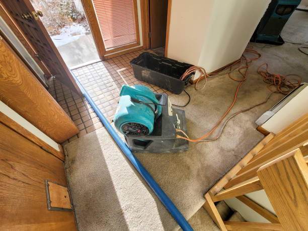 Best Ceiling water damage repair  in Landover, MD