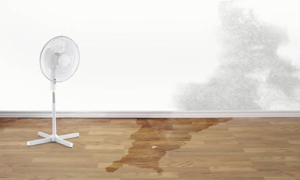 Best Emergency water damage restoration  in Landover, MD