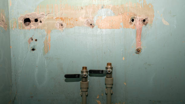 Best Flooded house restoration  in Landover, MD