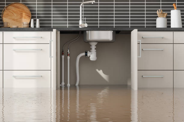 Best Water damage restoration company  in Landover, MD