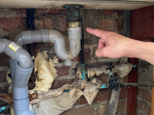 Best Ceiling water damage repair  in Landover, MD
