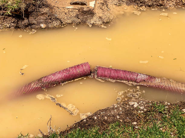 Best Water damage restoration near me  in Landover, MD